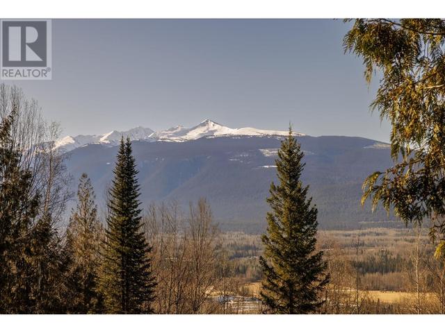 4840 Mountain View Road, House detached with 1 bedrooms, 1 bathrooms and null parking in Fraser Fort George H BC | Image 5