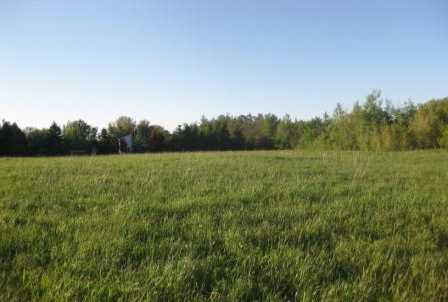 0 4th Line, Home with 0 bedrooms, 0 bathrooms and null parking in Shelburne ON | Image 4