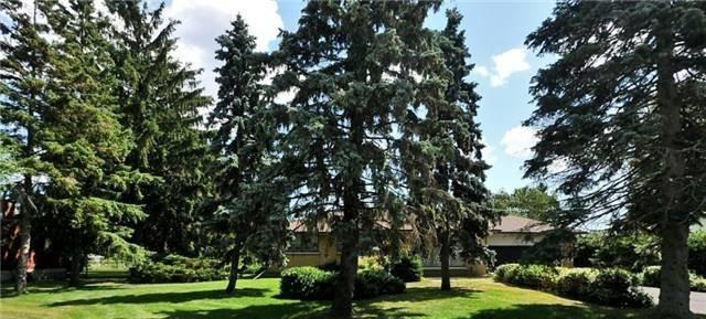 439 Maine St, House detached with 2 bedrooms, 1 bathrooms and 8 parking in Oshawa ON | Image 2