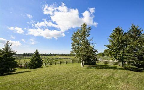 2130 Shirley Rd, Home with 9 bedrooms, 5 bathrooms and 50 parking in Scugog ON | Image 3
