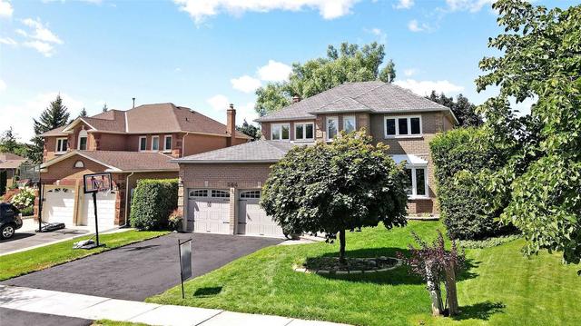 364 Amberlee Crt, House detached with 4 bedrooms, 4 bathrooms and 4 parking in Newmarket ON | Image 28