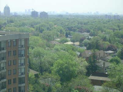 lph08 - 29 Pemberton Ave, Condo with 1 bedrooms, 1 bathrooms and 1 parking in Toronto ON | Image 3