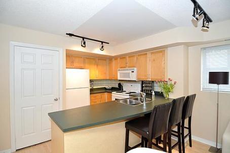 th 29 - 208 Niagara St, Townhouse with 1 bedrooms, 1 bathrooms and 1 parking in Toronto ON | Image 6