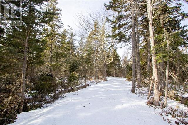 lot 965 Cape Dr, Home with 0 bedrooms, 0 bathrooms and null parking in Botsford NB | Image 1
