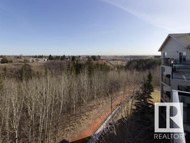425 - 592 Hooke Rd Nw, Condo with 2 bedrooms, 2 bathrooms and 2 parking in Edmonton AB | Image 46