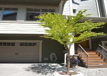 12 - 576 Nicola St, Townhouse with 3 bedrooms, 3 bathrooms and 1 parking in Kamloops BC | Image 3