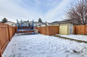 39 Castlegreen Close Ne, House detached with 3 bedrooms, 1 bathrooms and 2 parking in Calgary AB | Image 35