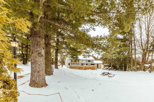 19 Clearview Dr, House detached with 3 bedrooms, 1 bathrooms and 15 parking in Kawartha Lakes ON | Image 23