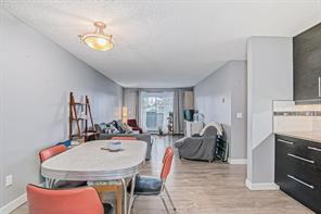 303 - 1917 24a Street Sw, Condo with 2 bedrooms, 1 bathrooms and 1 parking in Calgary AB | Image 15