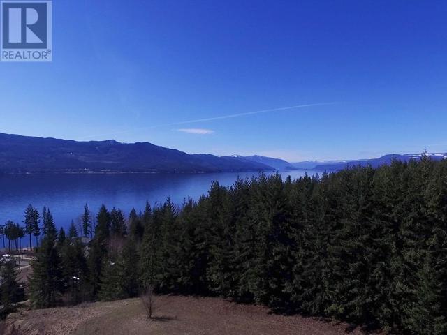 2589 Airstrip Road, House detached with 3 bedrooms, 3 bathrooms and 2 parking in Columbia Shuswap F BC | Image 60