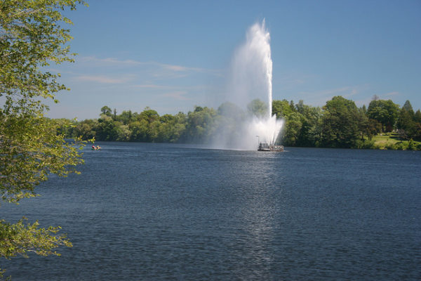 Peterborough real estate