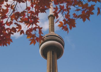 November real estate news