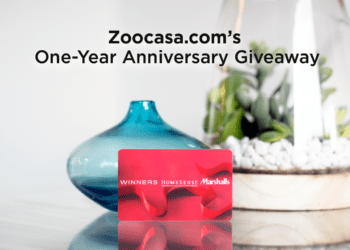 Celebrate Zoocasa's 1st Birthday