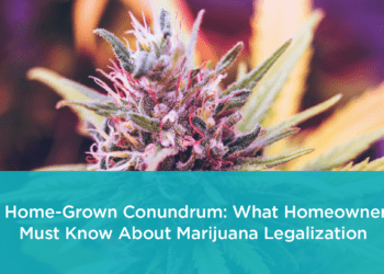 What Homeowners Must Know About Marijuana Legalization