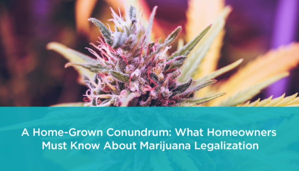 What Homeowners Must Know About Marijuana Legalization