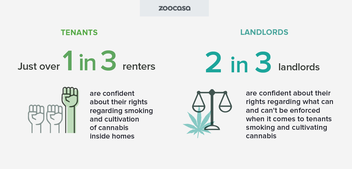 zoocasa-cannabis-tenants-landlords-rights