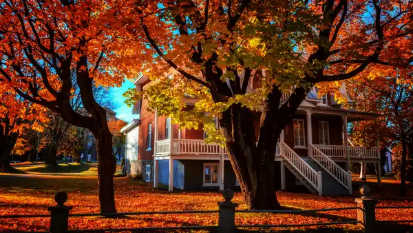 Zoocasa Autumn House Hero
