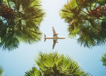 An image shot from below, angled to the sky, capturing an airplane in a clear blue sky between five palm trees.