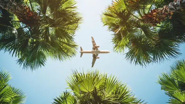 An image shot from below, angled to the sky, capturing an airplane in a clear blue sky between five palm trees.