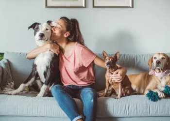 Pet sitter cuddling with three dogs on a grey couch.