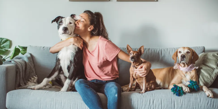 Pet sitter cuddling with three dogs on a grey couch.