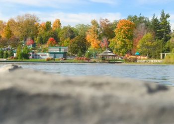 A picture of Waterloo Park in early fall.