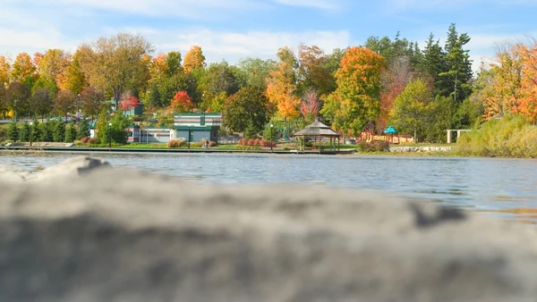 A picture of Waterloo Park in early fall.