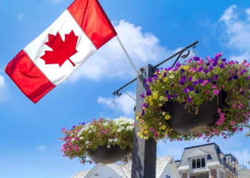 Canadian flag in a planter.