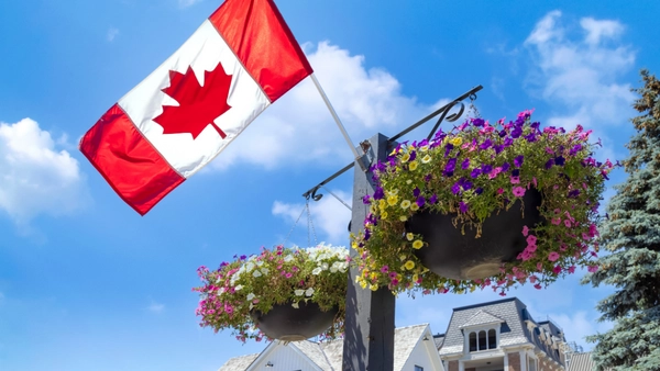 Canadian flag in a planter.