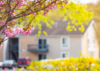 A tree of blooming flowers with a house in the background.