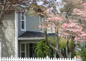 A house with a tree full of flowers in front