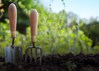 a trowel and a fork in the ground.