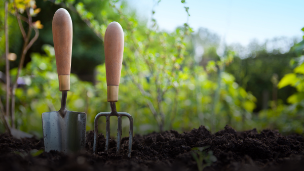 a trowel and a fork in the ground.