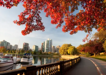 A view of Vancouver City from Vancouver Stanley Park.