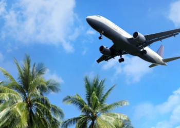 A plane flying overhead palm trees