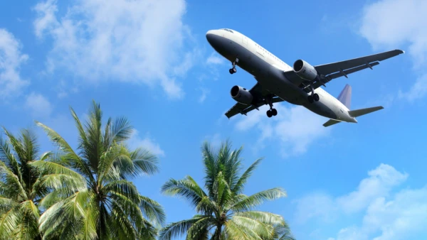 A plane flying overhead palm trees