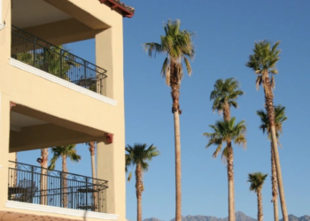 A condo building overlooking palm trees