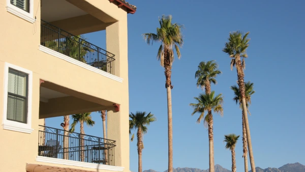 A condo building overlooking palm trees
