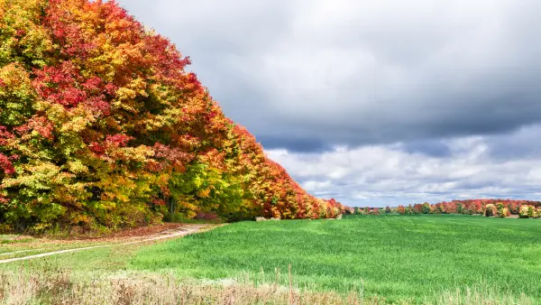 Scenic view of the Blue Mountains in the fall.