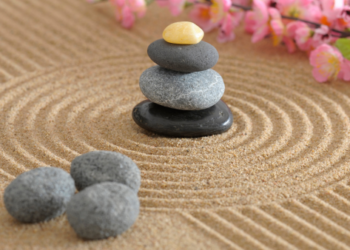 A close-up of a japanese zen garden with rocks and flowers