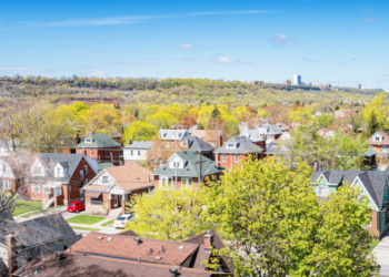 A neighbourhood of houses.