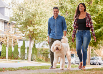 A couple walking their dog.