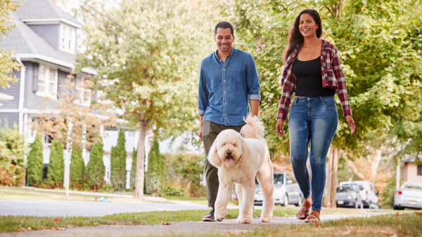 A couple walking their dog.