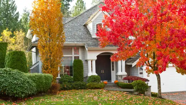 A home with colorful fall trees in front