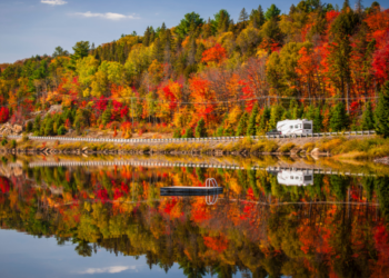 A lake and forest