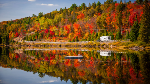 A lake and forest