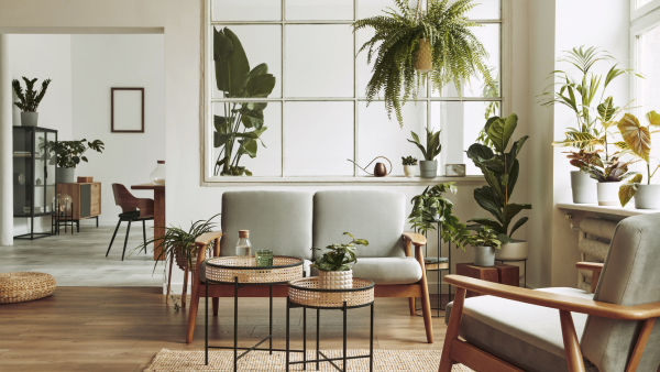 A living room.
