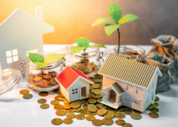 Coins, plants and a toy house.