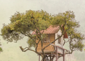 A treehouse