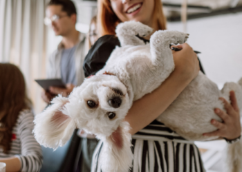 A family playing with their dog.